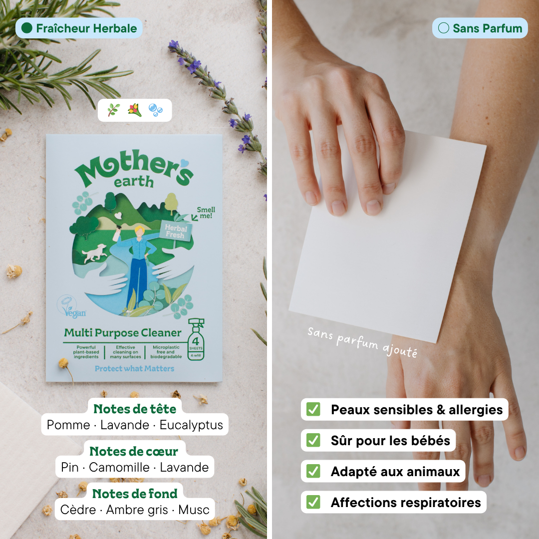 Kit de démarrage nettoyant multi-usages