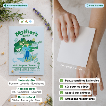 Kit de démarrage nettoyant multi-usages