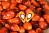 ingredient-image